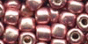 05555 - New Penny