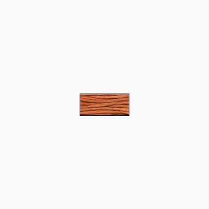 Pumpkin Harvest