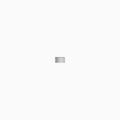 001 Silver (#4)
