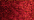 003 Red (#8)