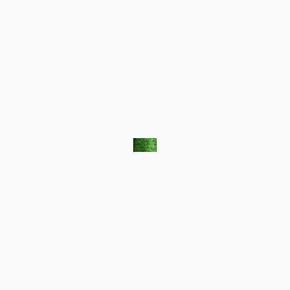 008 Green (BF)