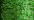 008 Green (BF)