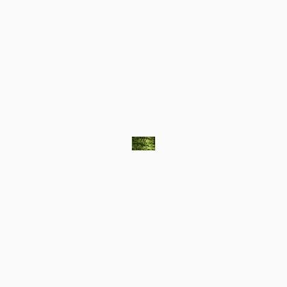 015HL Chartreuse Hi Lustre (#8)