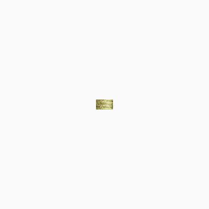 017HL White Gold Hi Lustre (#8)