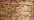 021 Copper (eq. 021C) (BF)