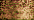 021HL Copper Hi Lustre (#4)