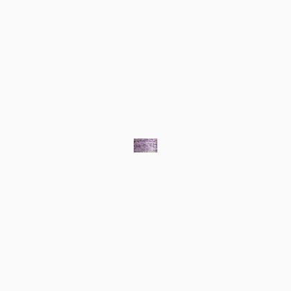023 Lilac (#8)