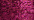 024 Fuchsia (BF)