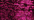 024HL Fuchsia Hi Lustre (#8)