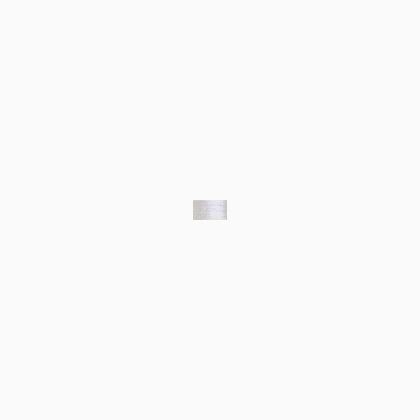 100 White (#4)