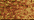 127 Yellow Orange (#8)