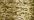 212 Golden Sand (#8)