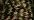 2122 Curry (#8)