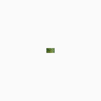 2829 Seafoam (#8)