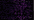 026V Vintage Amethyst (#8)
