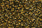 Treasure Petite: pb36 - Antique Gold