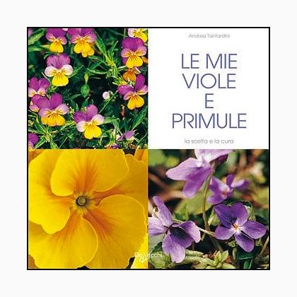Le mie viole e primule