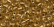 18011 - Victorian Gold Size 8 Beads
