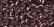 18825 - Iced Nutmeg Size 8 Beads