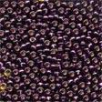 02080 Dark Plum