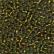 02048 Golden OliveI