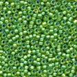 62049 Spring Green Inside Color Matte