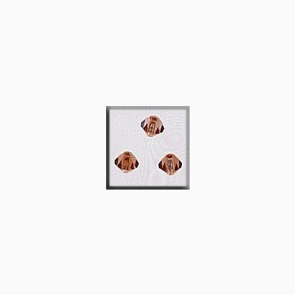 13064 Rondele Champagne Colorado Topaz 4mm