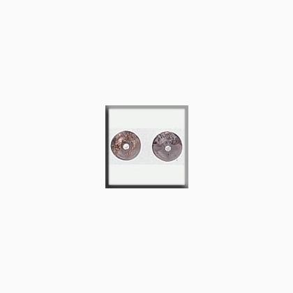 12279 Round lined Bead Goldstone Black