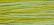 WDW 2206 Pistachio