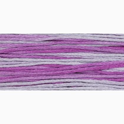 WDW 2291 Sugar Plum