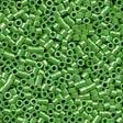 10107 SPRING GREEN