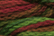 Caron Watercolours 047 - Camouflage