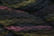 Caron Watercolours 109 - Jave