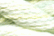 Caron Watercolours 167 - Lime Ice