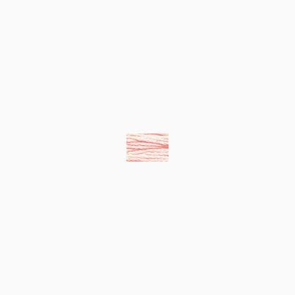 Sampler Threads: Cameo Pink