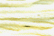 Sampler Threads: Pineapple Sherbert