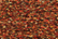Treasure Petite: pb48 - Autumn Leaves
