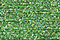 Treasure Petite: pb52 - Lighter Green