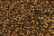 Treasure Petite: pb55 - Brass