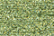 Treasure Petite: pb56 - Pale Avocado