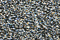 Treasure Petite: pb59 - Black Silver