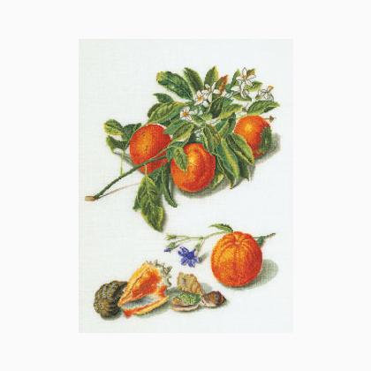 Fruta Antigua 1°