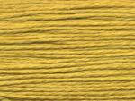 Splendor: s1106 - Mustard