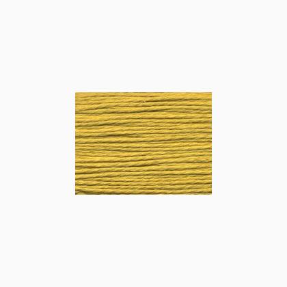 Splendor: s1106 - Mustard
