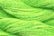Caron Watercolours 188 - Lime Rickey