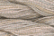 Caron Wildflowers 001 - Sandstone