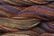 Caron Wildflowers 016 - Bark