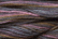 Caron Wildflowers 022 - Smoke