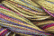 Caron Wildflowers 026 - Mardis Gras