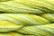 Caron Wildflowers 027 - Lemon N Lime